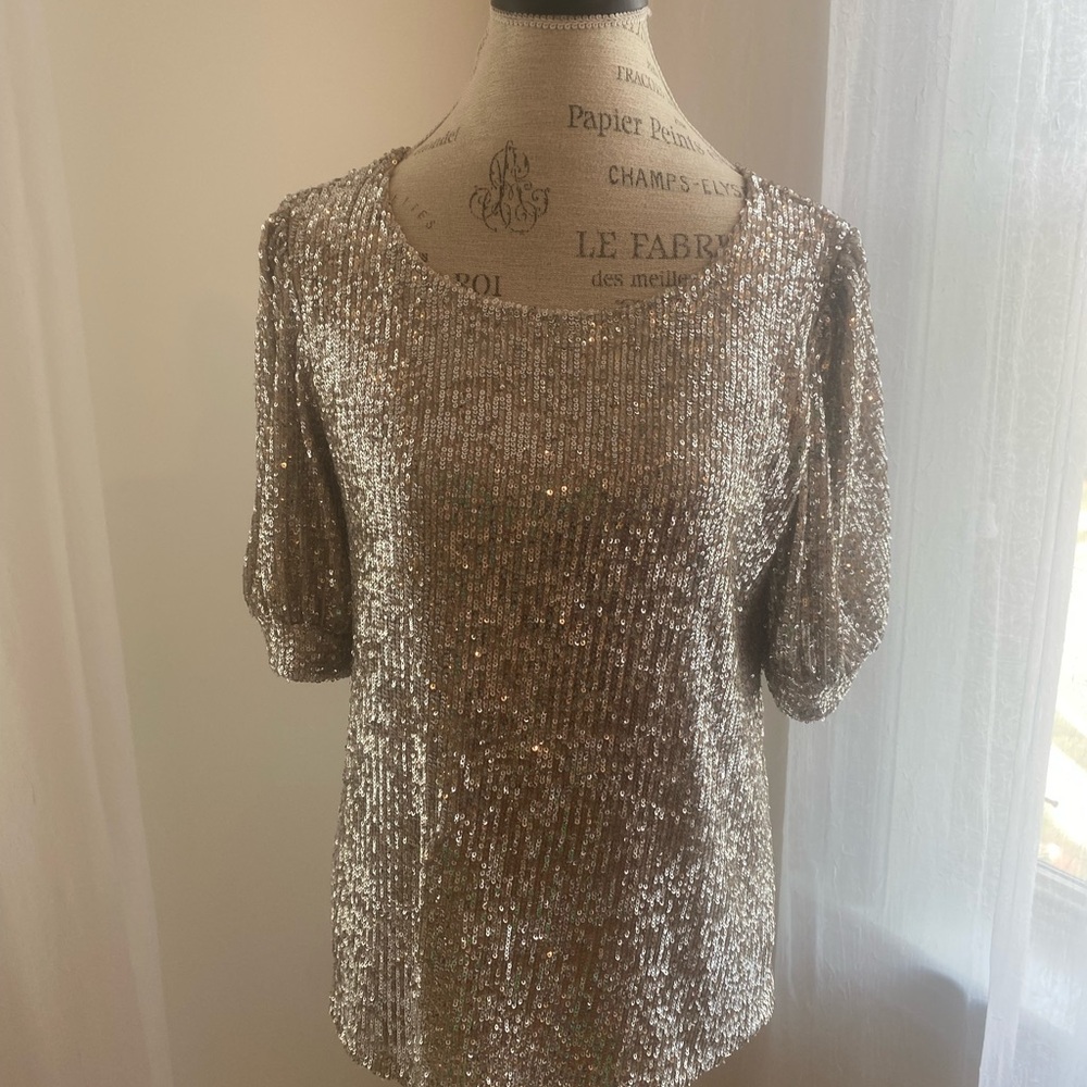 Cable & Gauge Silver Sequin Short Sleeve Blouse